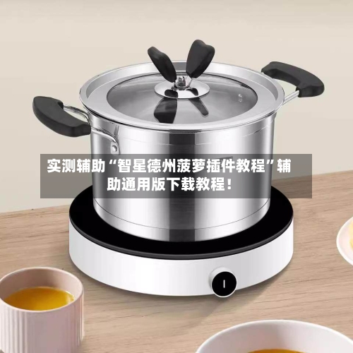 实测辅助“智星德州菠萝插件教程”辅助通用版下载教程！-第2张图片