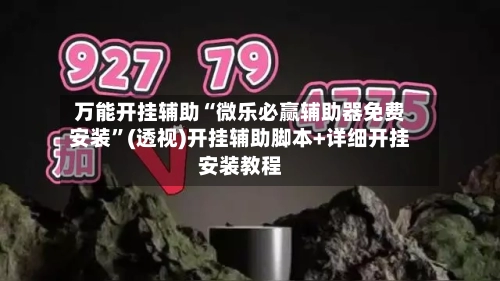 万能开挂辅助“微乐必赢辅助器免费安装”(透视)开挂辅助脚本+详细开挂安装教程-第2张图片