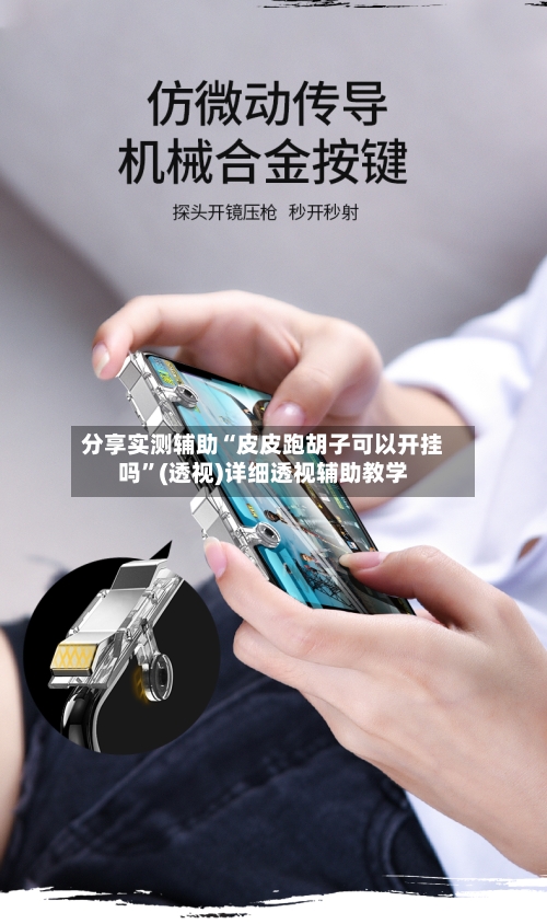 分享实测辅助“皮皮跑胡子可以开挂吗	”(透视)详细透视辅助教学-第2张图片