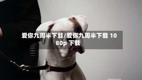 爱你九周半下载/爱你九周半下载 1080p 下载