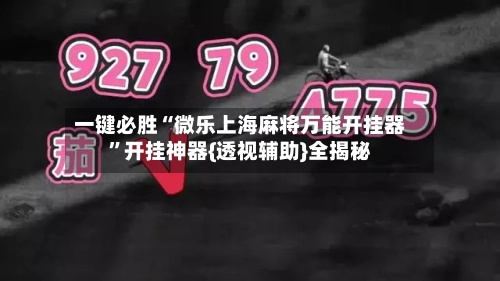 一键必胜“微乐上海麻将万能开挂器”开挂神器{透视辅助}全揭秘-第3张图片
