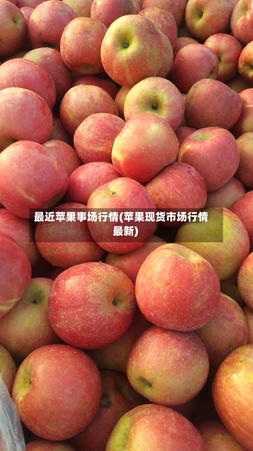 最近苹果事场行情(苹果现货市场行情 最新)-第2张图片