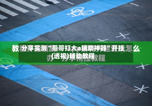 分享实测“哥哥打大a辅助神器”开挂(透视)辅助教程-第2张图片