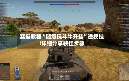 实操教程“随意玩斗牛开挂”透视挂!详细分享装挂步骤