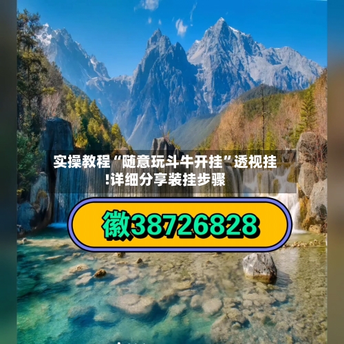 实操教程“随意玩斗牛开挂”透视挂!详细分享装挂步骤-第2张图片