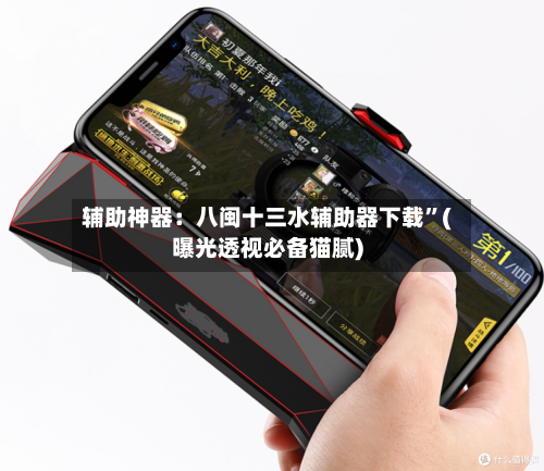 辅助神器：八闽十三水辅助器下载”(曝光透视必备猫腻)-第2张图片