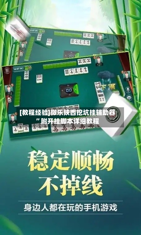 [教程经验]微乐陕西挖坑挂辅助器”附开挂脚本详细教程-第3张图片