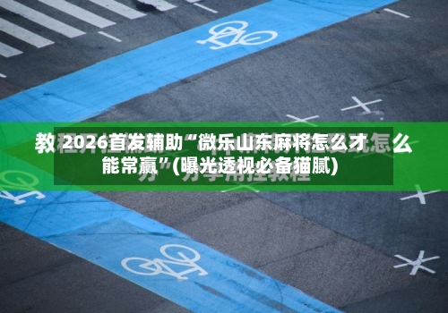 2026首发辅助“微乐山东麻将怎么才能常赢”(曝光透视必备猫腻)-第2张图片