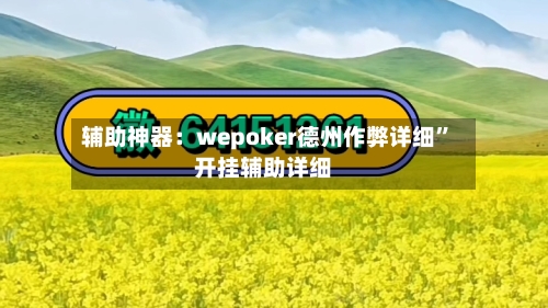 辅助神器：wepoker德州作弊详细”开挂辅助详细-第3张图片