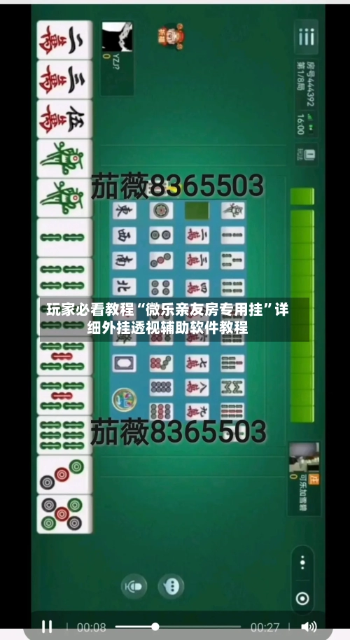 玩家必看教程“微乐亲友房专用挂	”详细外挂透视辅助软件教程-第2张图片