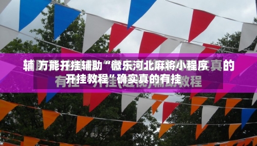万能开挂辅助“微乐河北麻将小程序开挂教程	”确实真的有挂-第2张图片