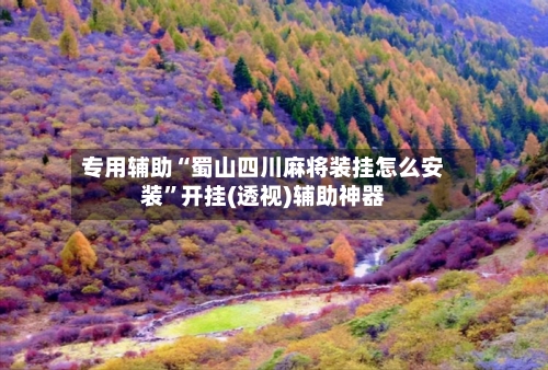 专用辅助“蜀山四川麻将装挂怎么安装	”开挂(透视)辅助神器-第2张图片