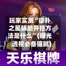 玩家实测“德扑之星辅助开挂方法是什么”(曝光透视必备猫腻)