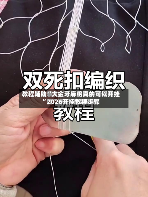 教程辅助“大金牙麻将真的可以开挂”2026开挂教程步骤-第2张图片