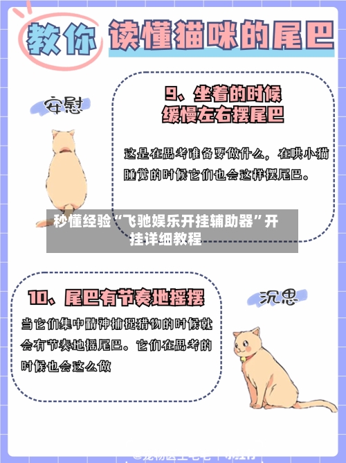 秒懂经验“飞驰娱乐开挂辅助器”开挂详细教程
