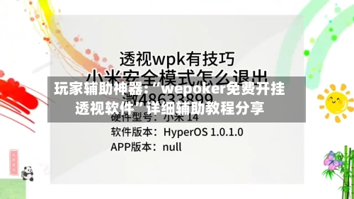 玩家辅助神器:“wepoker免费开挂透视软件”详细辅助教程分享