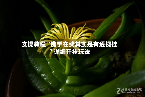 实操教程“佛手在线其实是有透视挂”详细开挂玩法-第2张图片