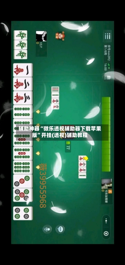 辅助神器“微乐透视辅助器下载苹果版	”开挂(透视)辅助教程-第2张图片
