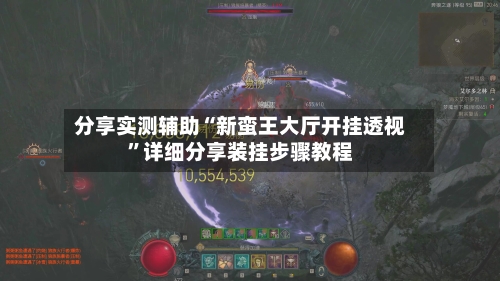 分享实测辅助“新蛮王大厅开挂透视”详细分享装挂步骤教程-第2张图片