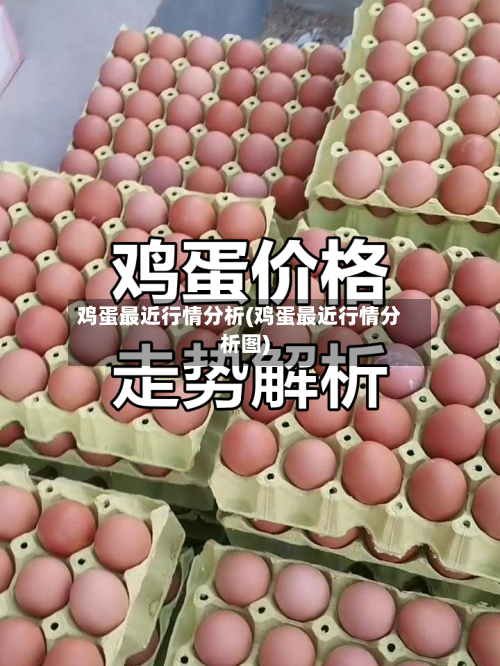 鸡蛋最近行情分析(鸡蛋最近行情分析图)