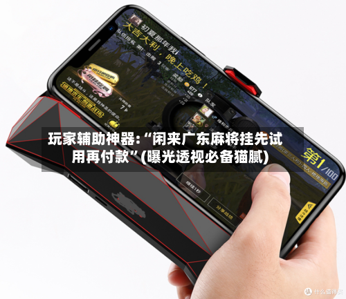 玩家辅助神器:“闲来广东麻将挂先试用再付款”(曝光透视必备猫腻)-第2张图片