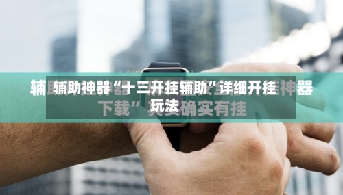 辅助神器“十三开挂辅助	”详细开挂玩法-第2张图片