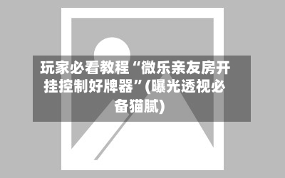 玩家必看教程“微乐亲友房开挂控制好牌器”(曝光透视必备猫腻)-第2张图片