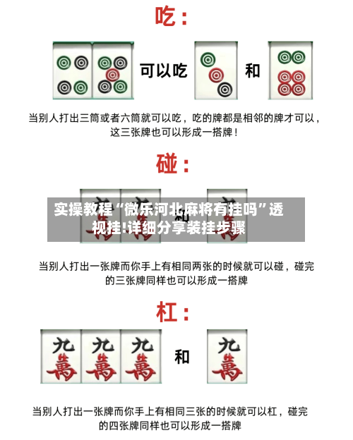实操教程“微乐河北麻将有挂吗”透视挂!详细分享装挂步骤