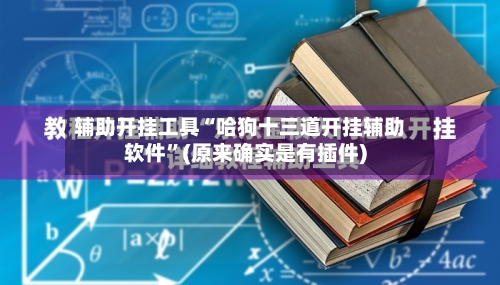 辅助开挂工具“哈狗十三道开挂辅助软件”(原来确实是有插件)-第2张图片