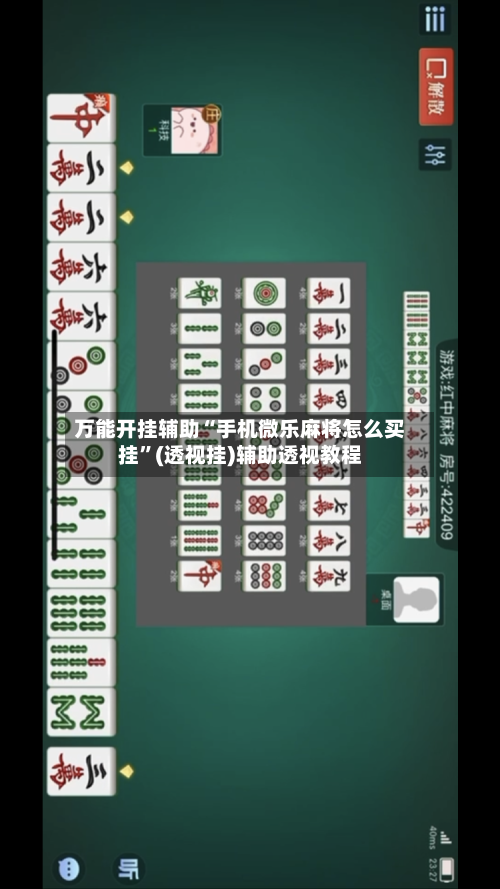 万能开挂辅助“手机微乐麻将怎么买挂	”(透视挂)辅助透视教程-第2张图片