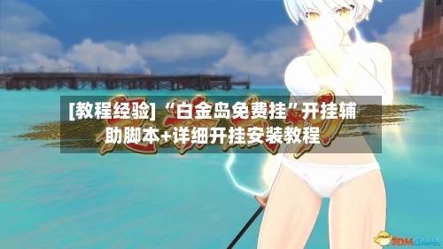 [教程经验] “白金岛免费挂”开挂辅助脚本+详细开挂安装教程-第3张图片