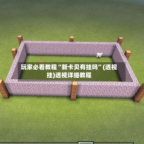 玩家必看教程“新卡贝有挂吗”(透视挂)透视详细教程-第2张图片