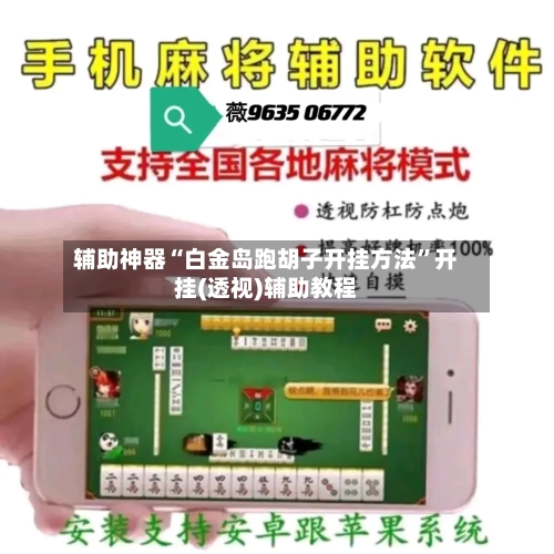 辅助神器“白金岛跑胡子开挂方法”开挂(透视)辅助教程-第2张图片
