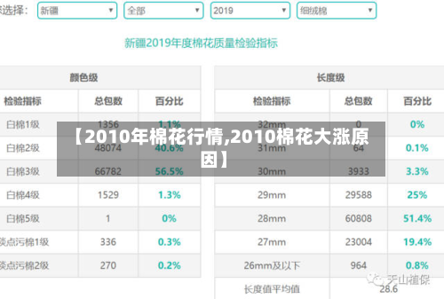【2010年棉花行情,2010棉花大涨原因】