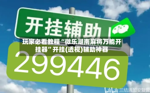 玩家必看教程“微乐湖南麻将万能开挂器”开挂(透视)辅助神器-第3张图片