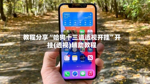 教程分享“哈狗十三道透视开挂	”开挂(透视)辅助教程-第2张图片