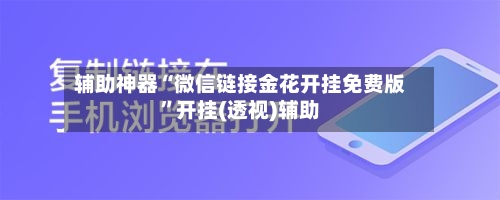 辅助神器“微信链接金花开挂免费版”开挂(透视)辅助-第3张图片
