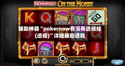 辅助神器“pokernow有没有透视挂(透视)”详细辅助透视-第3张图片