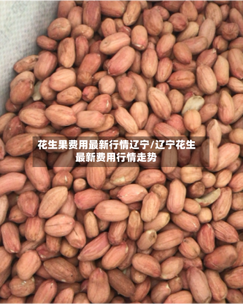花生果费用最新行情辽宁/辽宁花生最新费用行情走势
