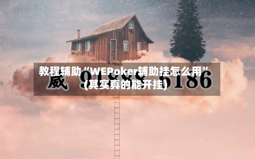 教程辅助“WEPoker辅助挂怎么用”(其实真的能开挂)