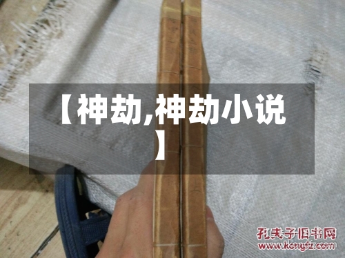 【神劫,神劫小说】