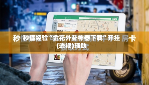 秒懂经验“金花外卦神器下载”开挂(透视)辅助-第2张图片
