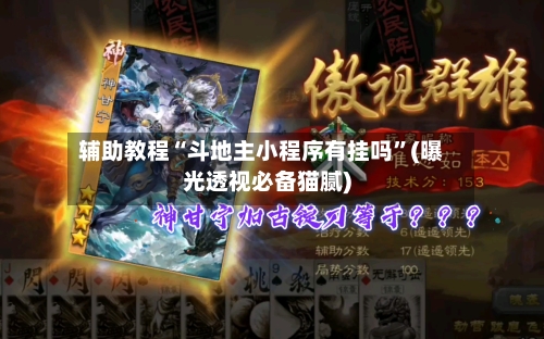 辅助教程“斗地主小程序有挂吗”(曝光透视必备猫腻)-第3张图片