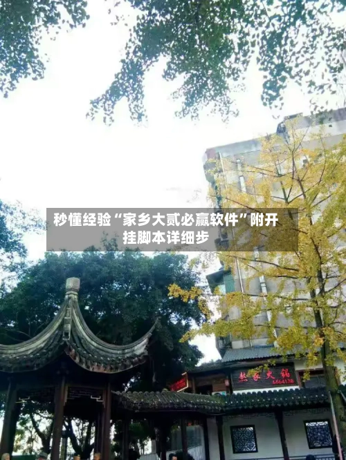 秒懂经验“家乡大贰必赢软件”附开挂脚本详细步