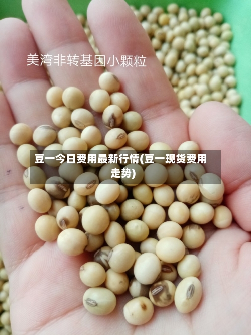 豆一今日费用最新行情(豆一现货费用走势)-第2张图片