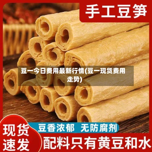 豆一今日费用最新行情(豆一现货费用走势)-第3张图片