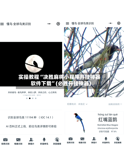 实操教程“决胜麻将小程序开挂神器软件下载”(必胜开挂神器)-第2张图片