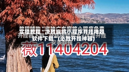 实操教程“决胜麻将小程序开挂神器软件下载”(必胜开挂神器)