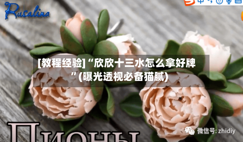 [教程经验]“欣欣十三水怎么拿好牌	”(曝光透视必备猫腻)-第2张图片
