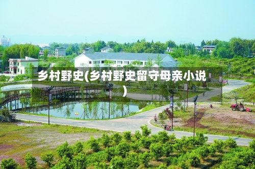 乡村野史(乡村野史留守母亲小说)-第2张图片